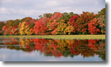Twin Lakes, Wantagh, Long Island, Photo by Robyn Marie Valentino