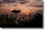Wantagh, Long Island, photo by Jesse Pafundi.